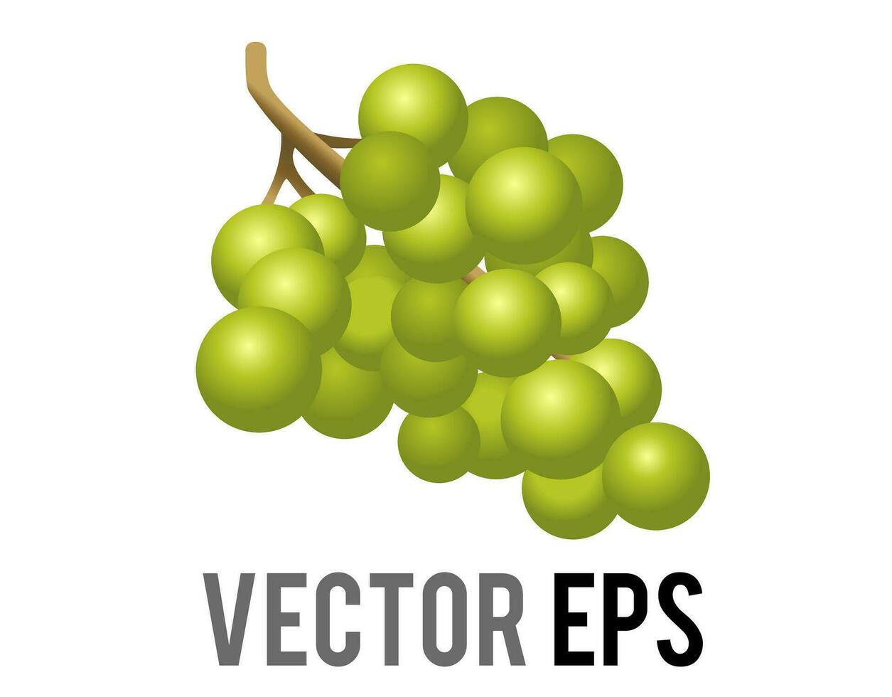 Vector fruit gradient green grapes bunch icon