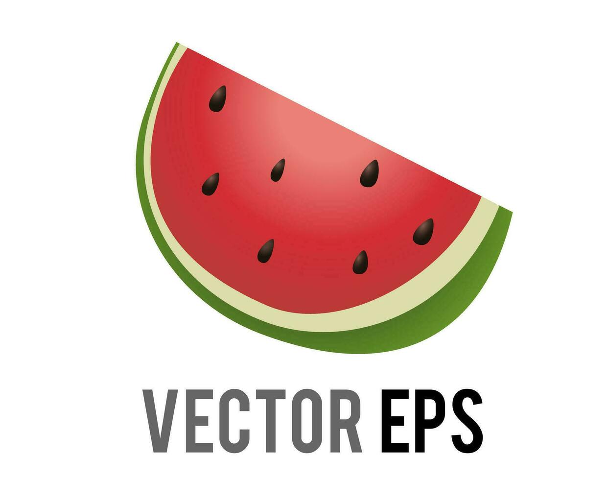 Slice of vector red watermelon icon, showing red pink flesh, black seeds and green rind