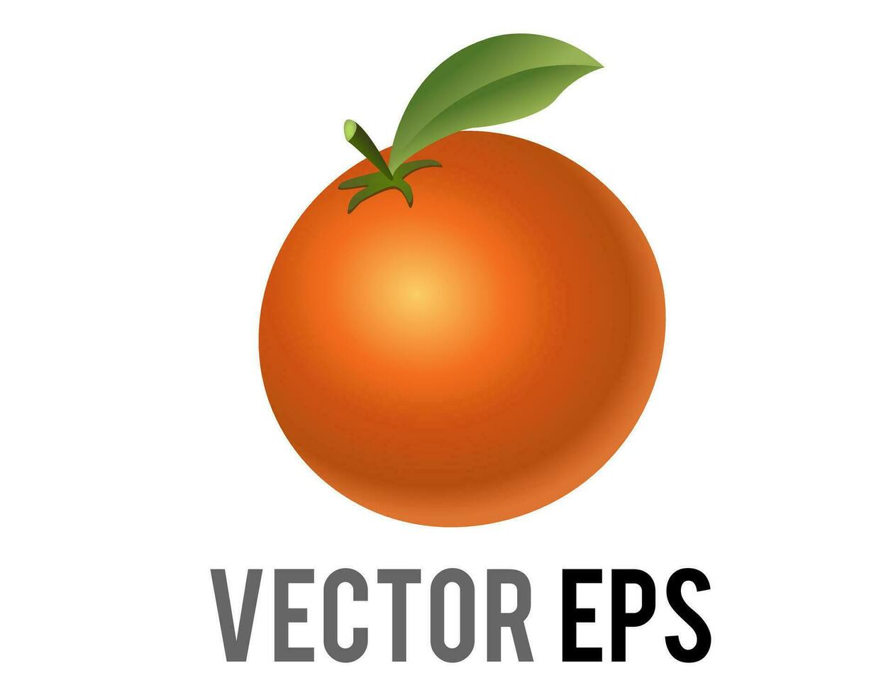 Vector citrus fruit orange, tangerine, mandarin with a green leaf, stem icon