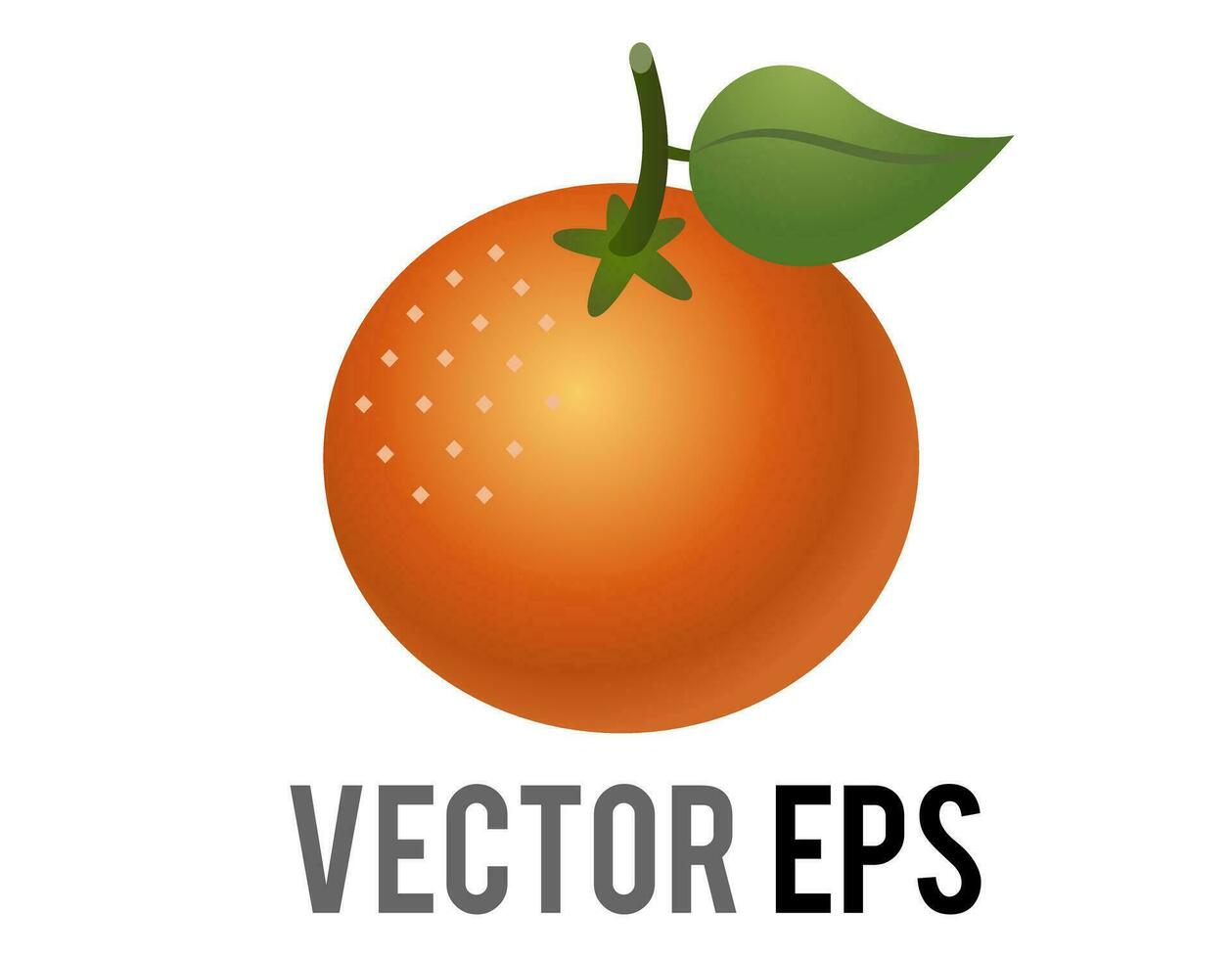 Vector citrus fruit orange, tangerine, mandarin with a green leaf, stem icon