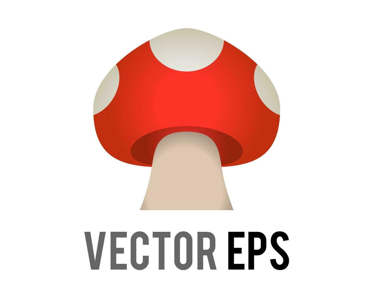 Vector edible fungus of white spotted red cap mushroom icon
