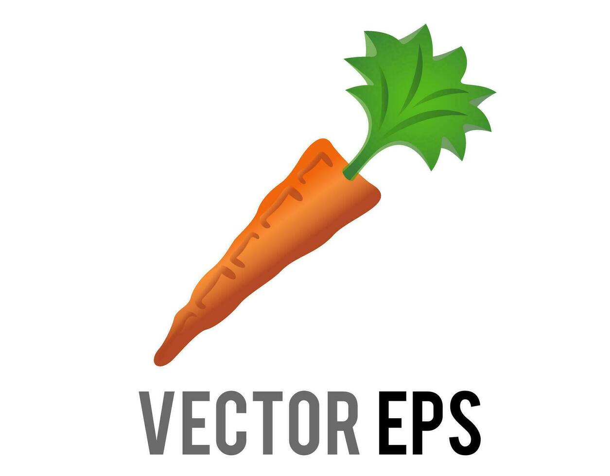 isolated vector whole bright orange carrot icon