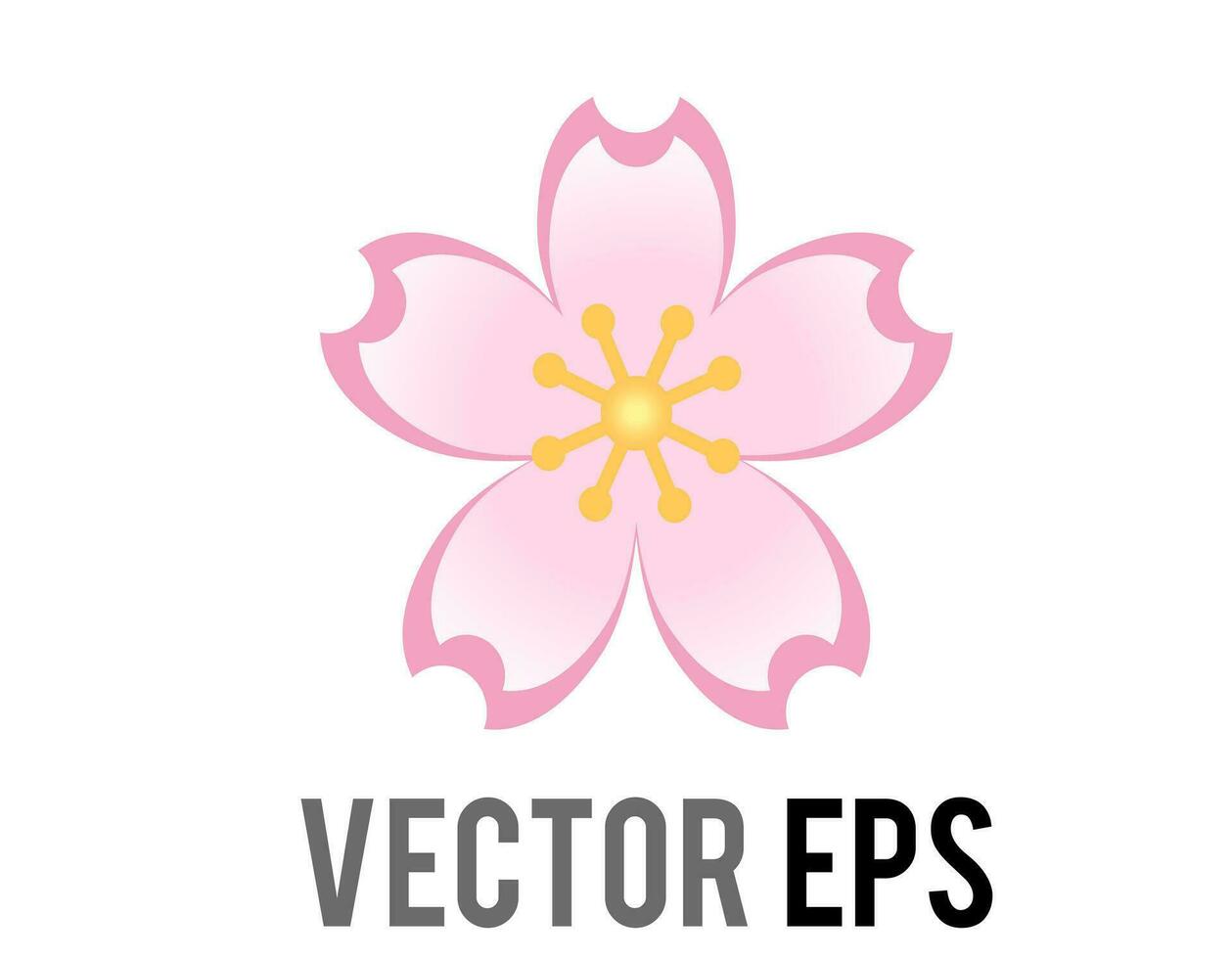 Vector light pink sakura flower of cherry blossom icon with five petals