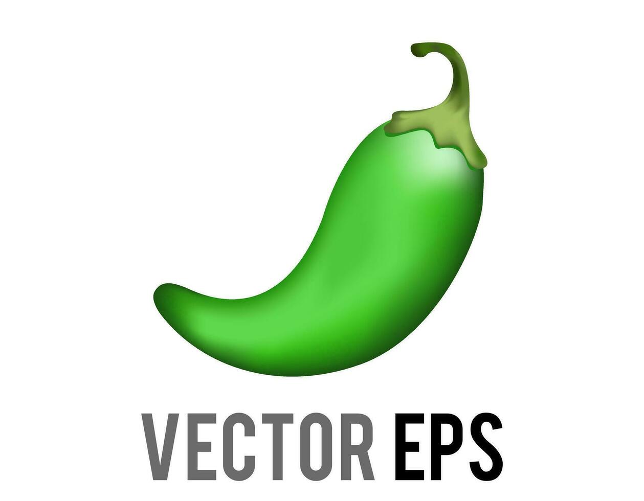 vector green curled Mexican chili pepper icon with green stem