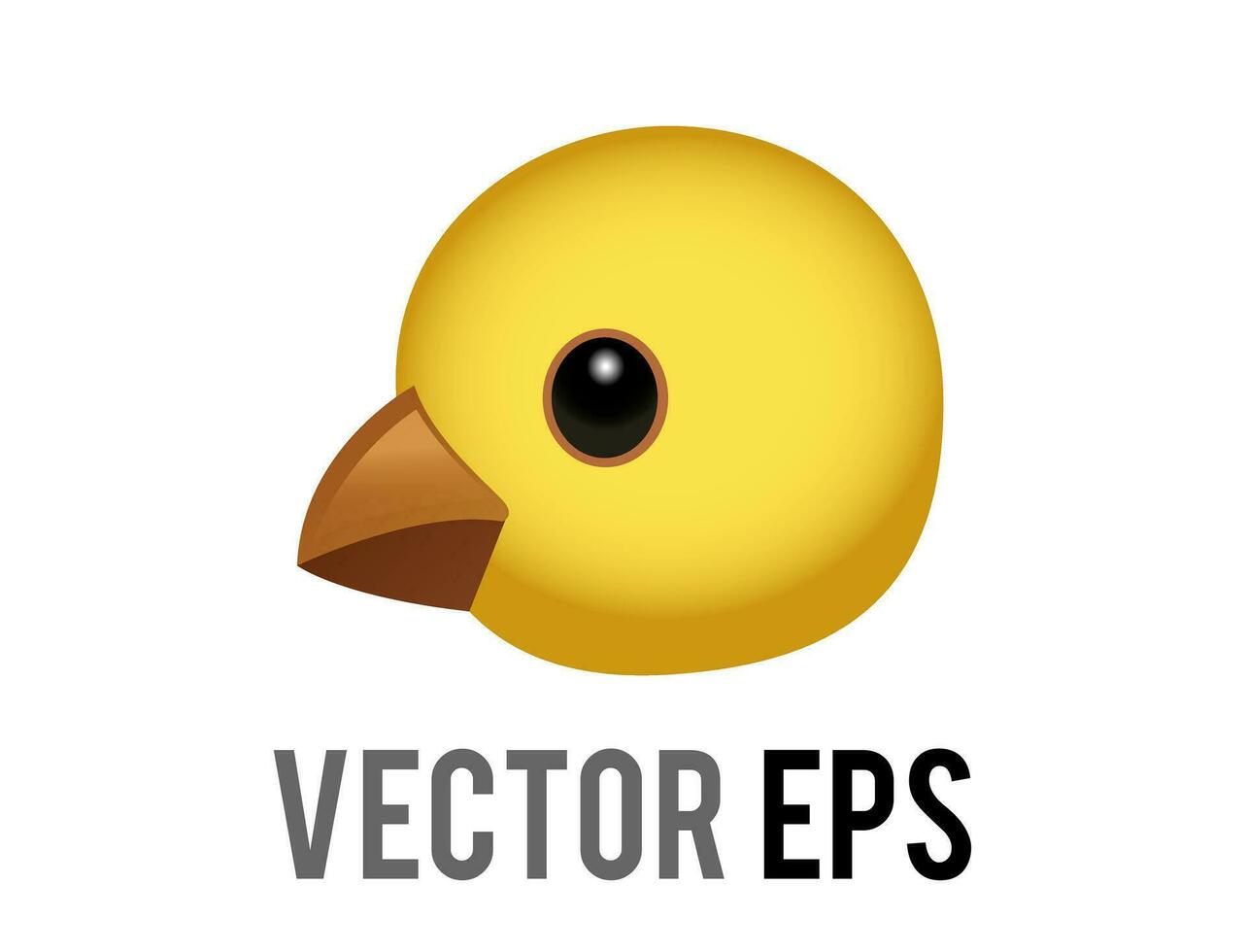 Vector head of yellow baby chicken, chick eye and orange month in side view