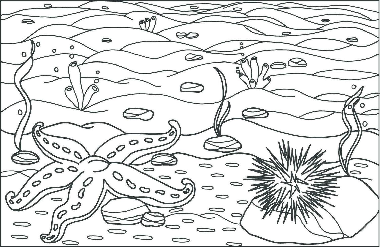 A starfish with sea urchin. Coloring page, hand drawn for relaxation and stress relief. Coloring book for adults and child with doodles, zentangle design elements. vector