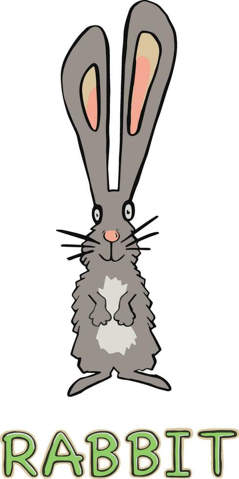 linda Conejo animal en marco circular ilustración. vector ilustración