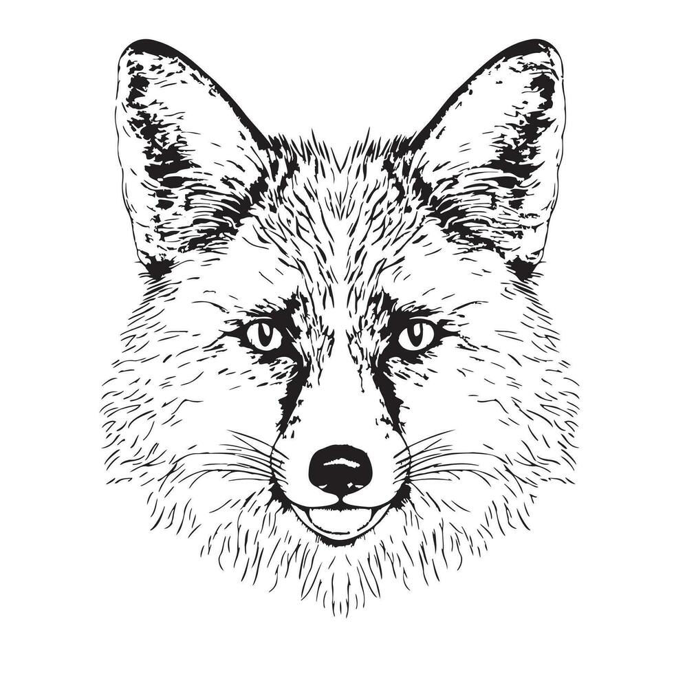 Wild fox head face hand drawn sketch in doodle style Vector illustration