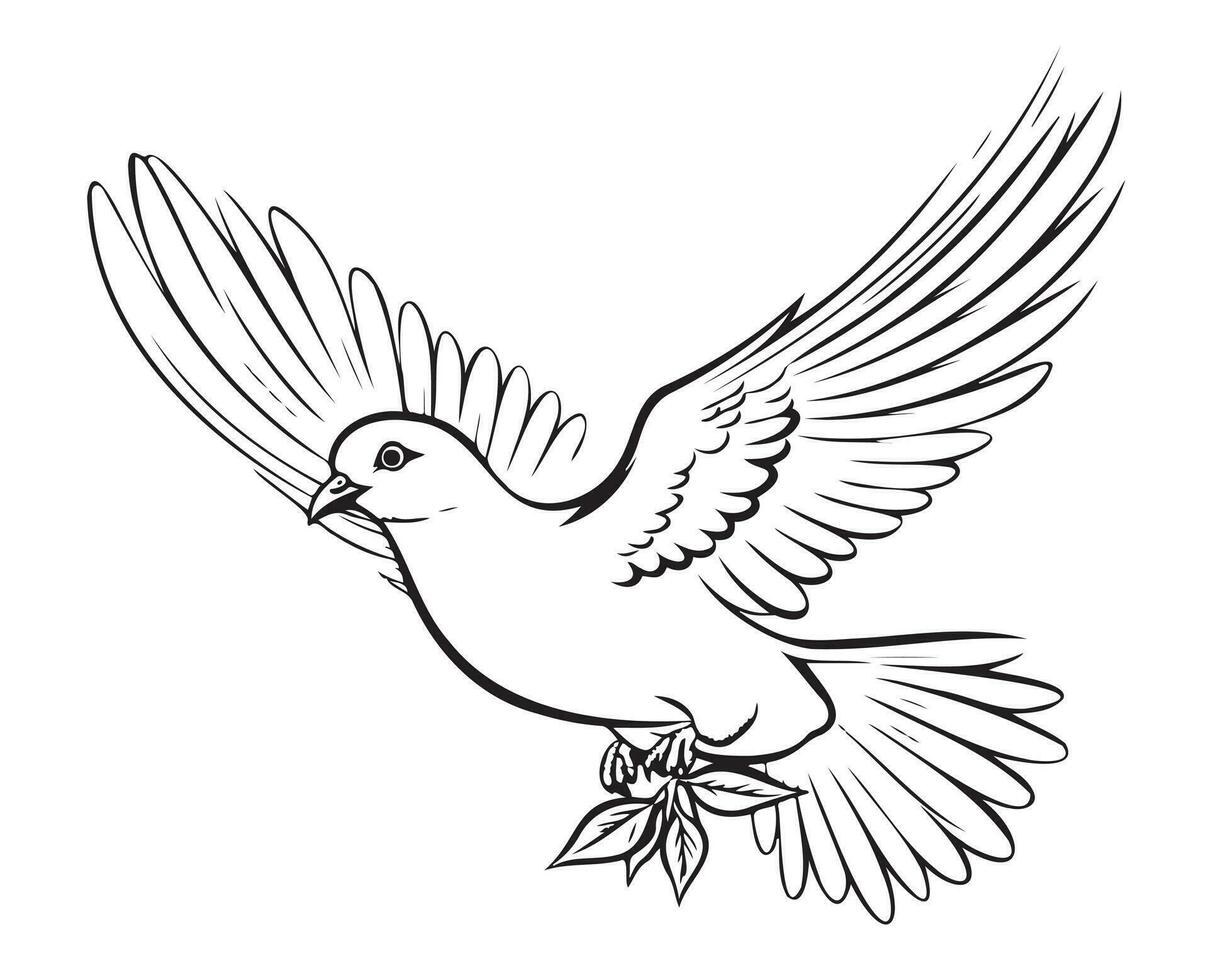 Flying dove, pigeon. Realistic ink sketch of wild bird. vector