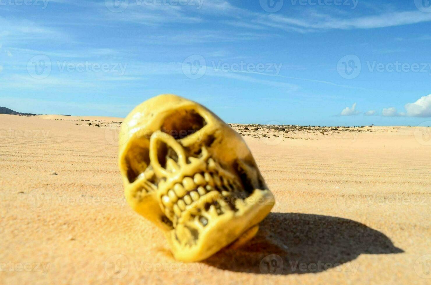 a skull in the sand with a blue sky in the background photo