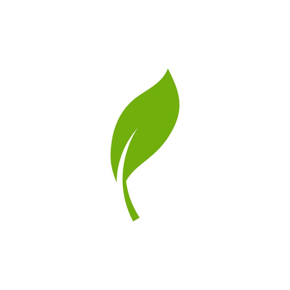 VECTOR ICON FLAT