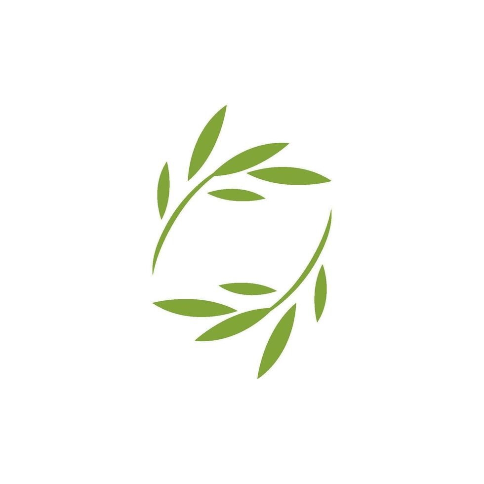 Eucalyptus leaf design vector