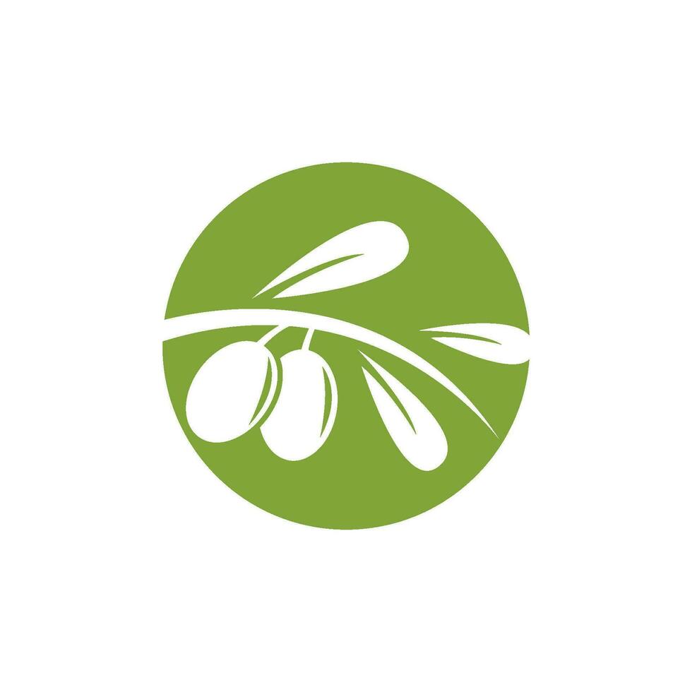 aceituna logo icono vector