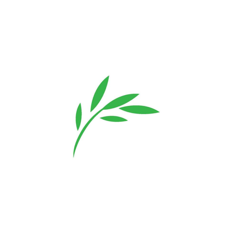 Eucalyptus leaf design vector