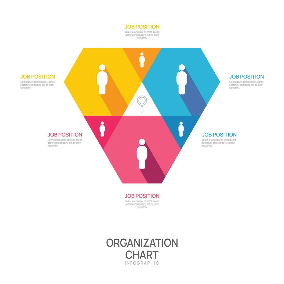 Infographic template for organization chart with business avatar icons. vector infographic for business.