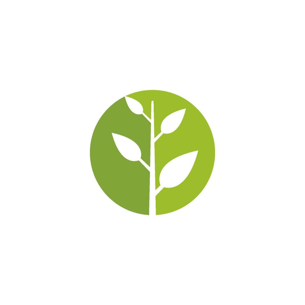 Tree logo icon vector