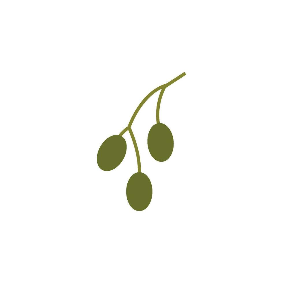 aceituna logo icono vector