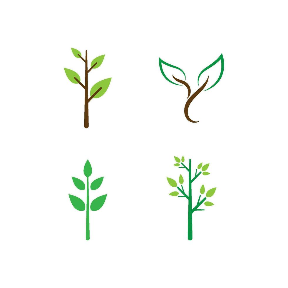 Tree logo icon vector