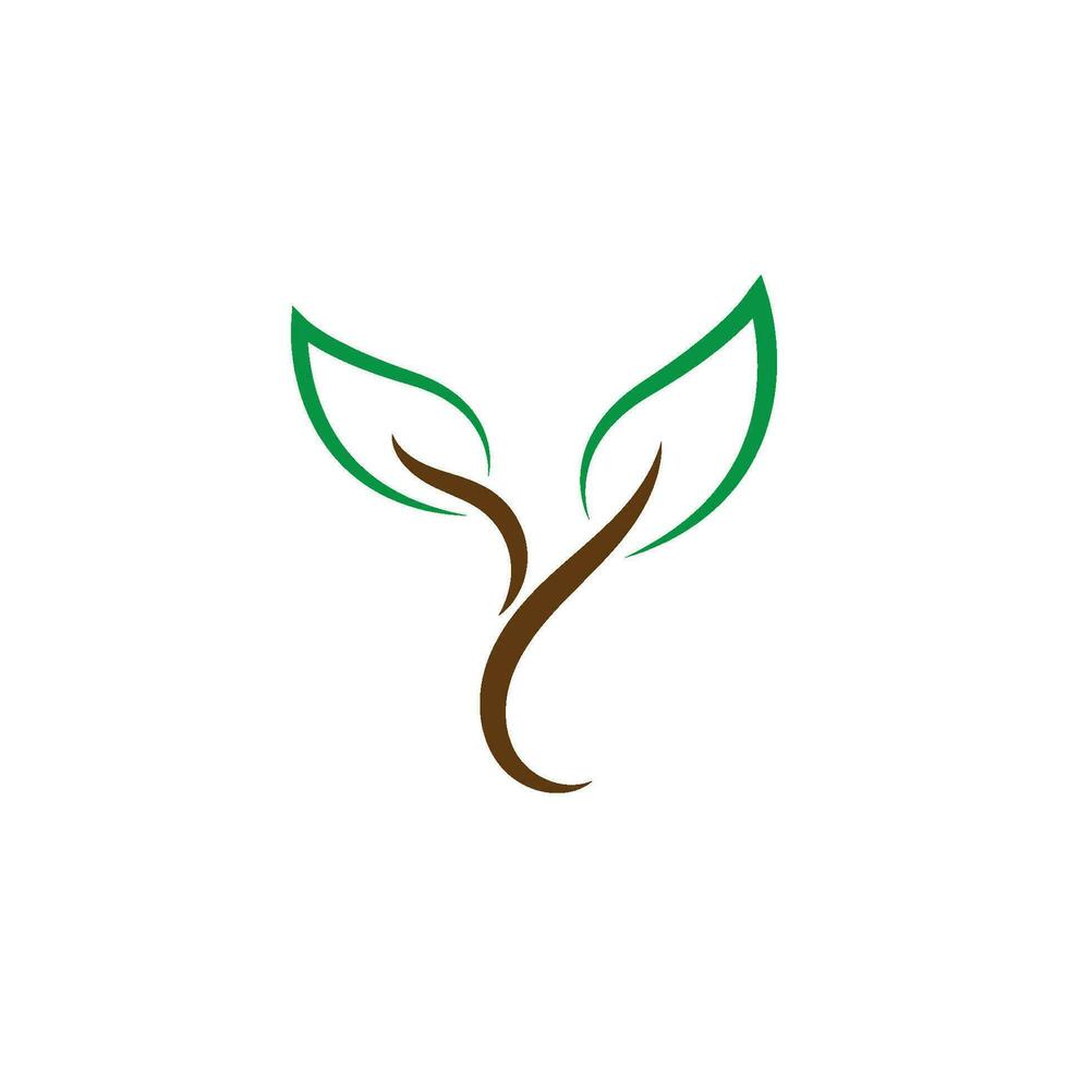 Tree logo icon vector