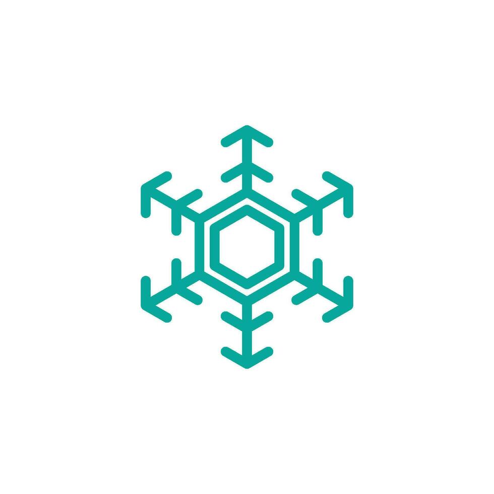 Snowflakes icon vector