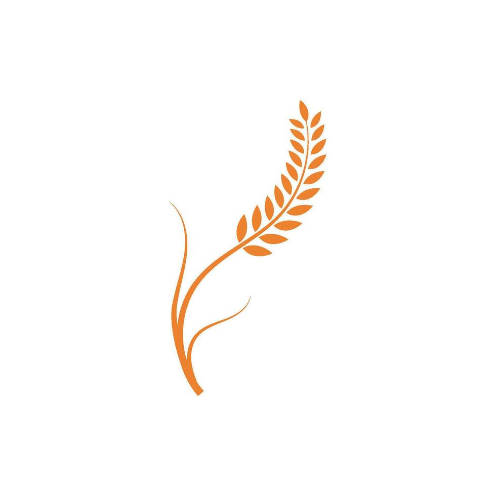 Wheat Logo icon vector