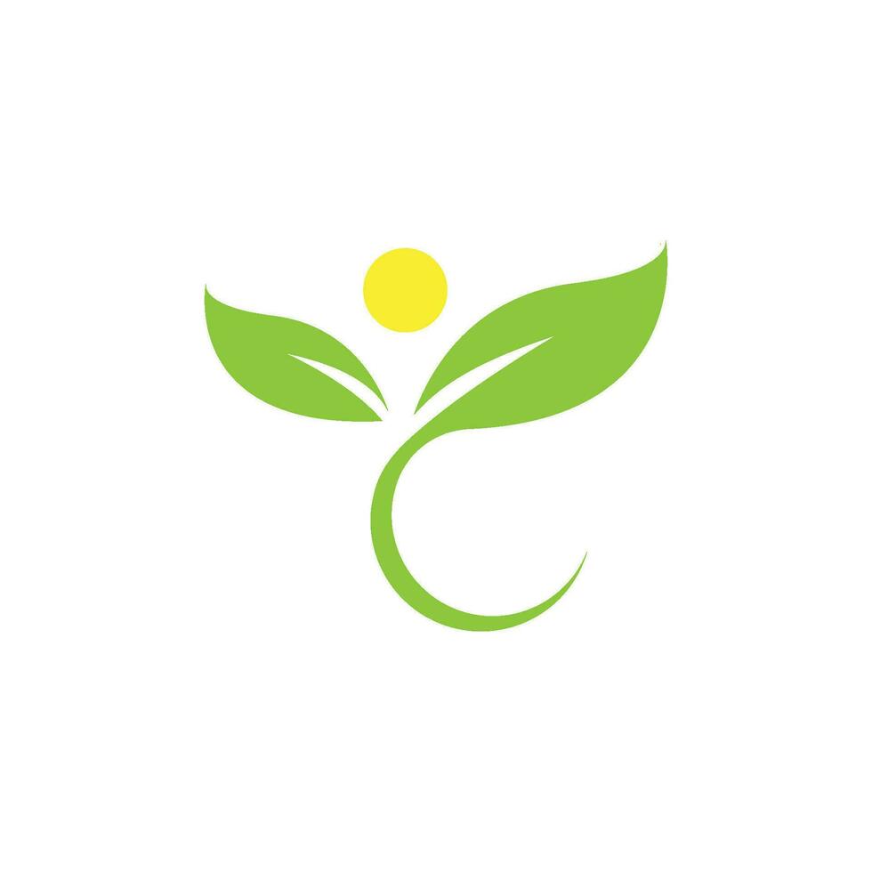 Green leaf logo icon vector