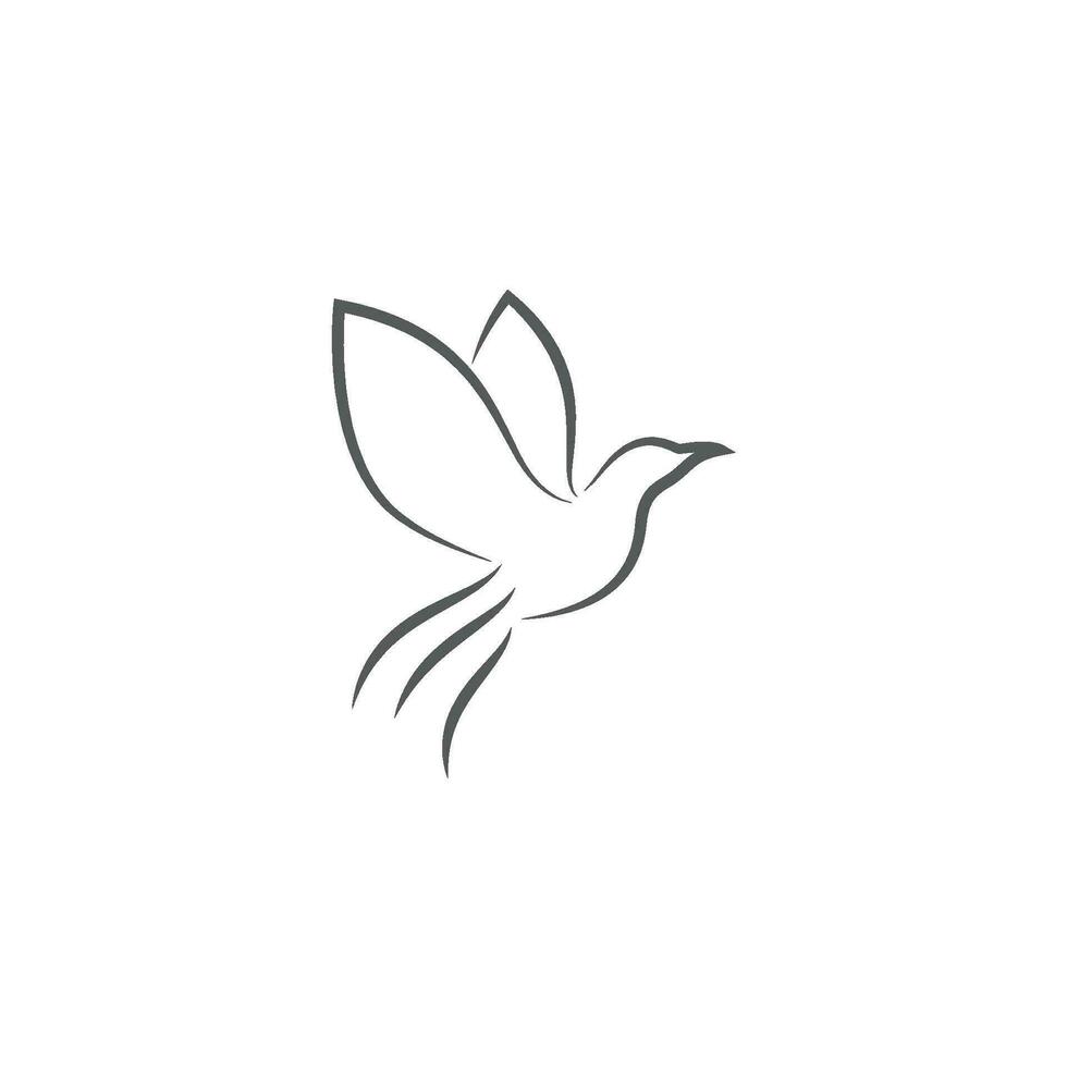 diseño de logotipo de paloma vector