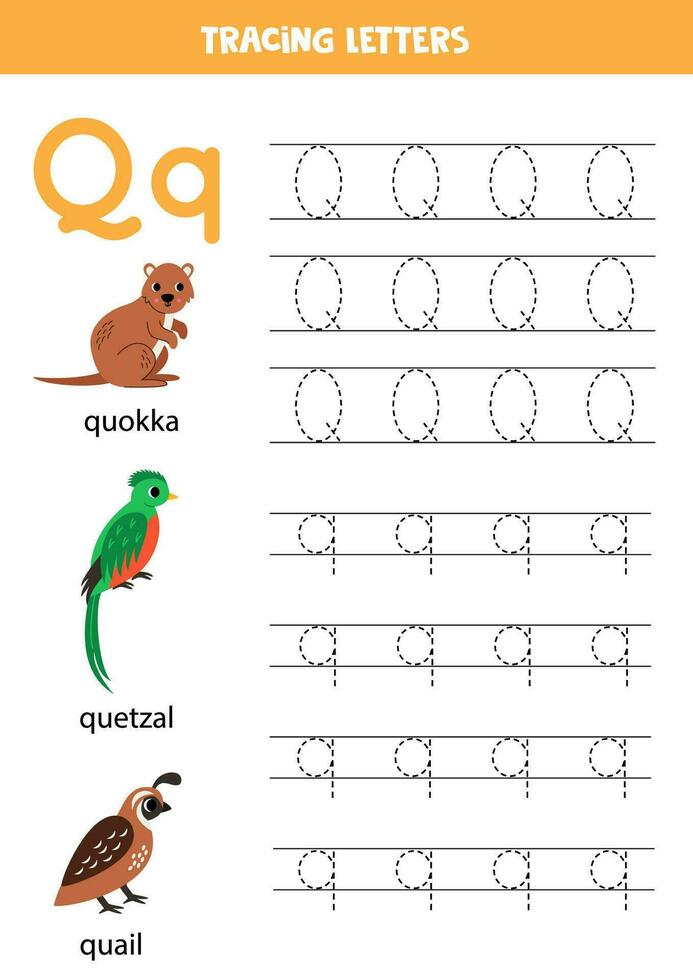 Tracing alphabet letters for kids. Animal alphabet. Letter Q is for quokka quetzal quail. vector
