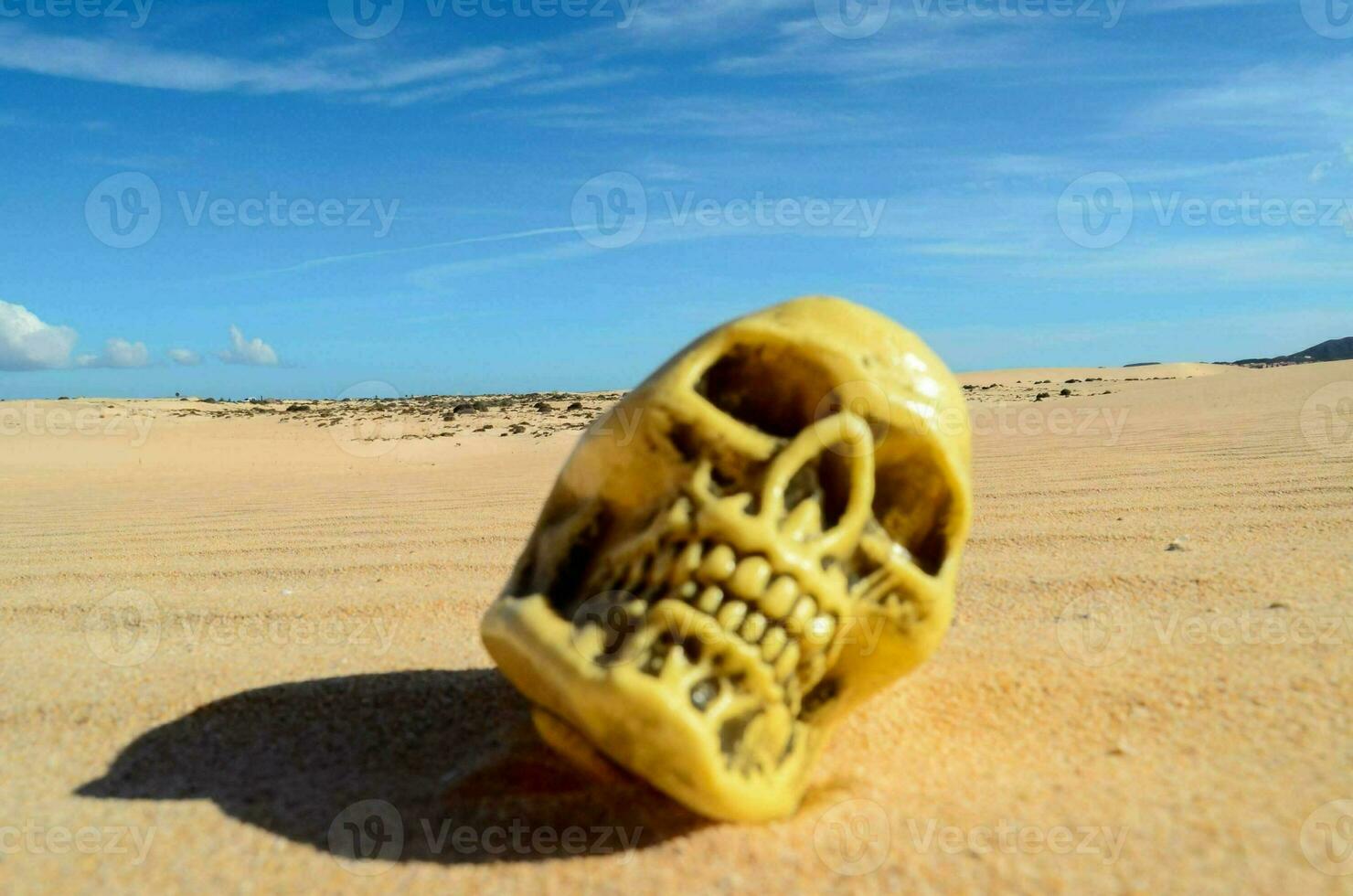 a yellow skull on the sand in the desert photo