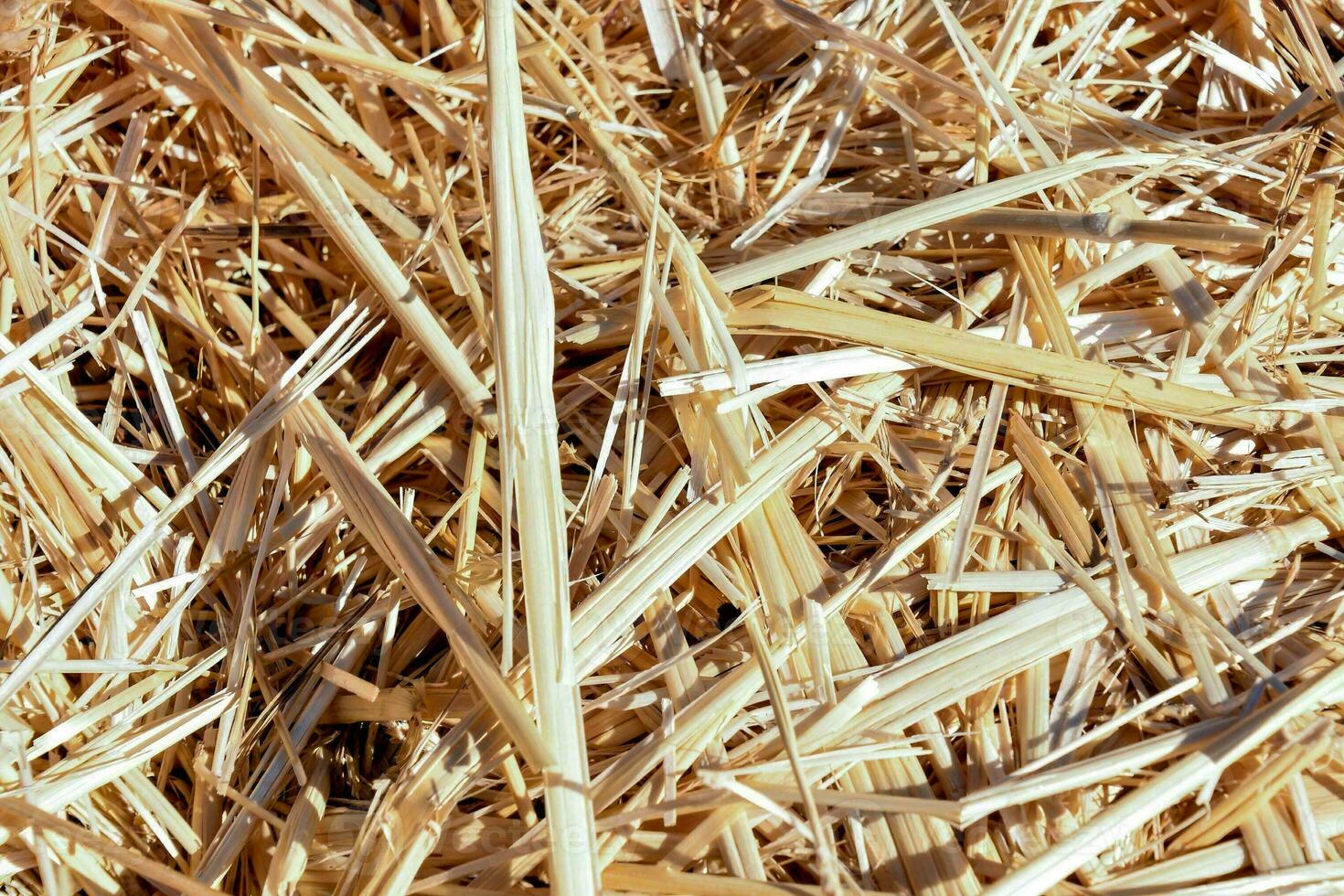 a close up of straw and grass photo