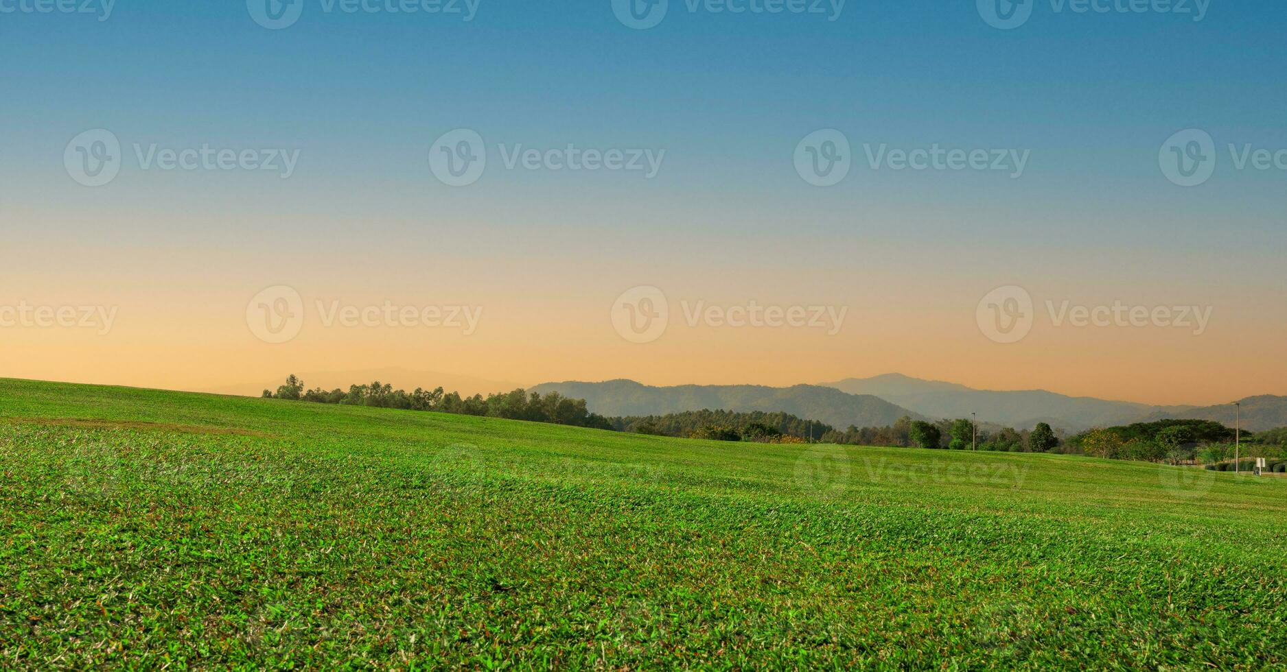 antecedentes imagen de verde césped campo a puesta de sol cielo foto