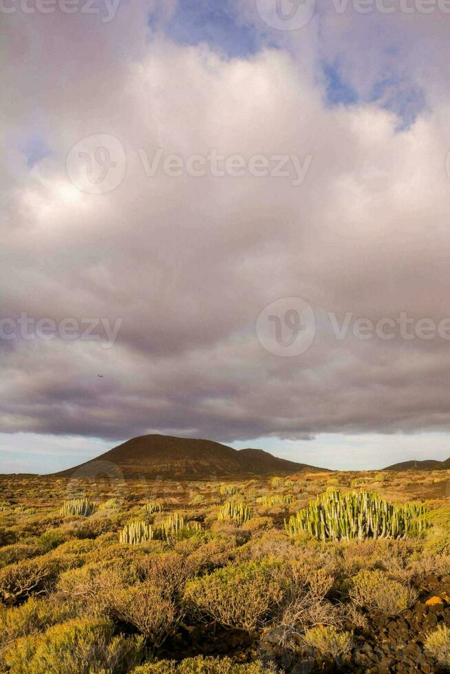 the landscape of the island of galapagos photo