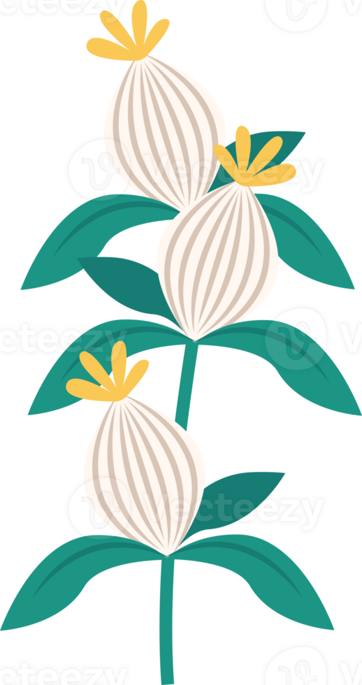 plant flower leaves pot png