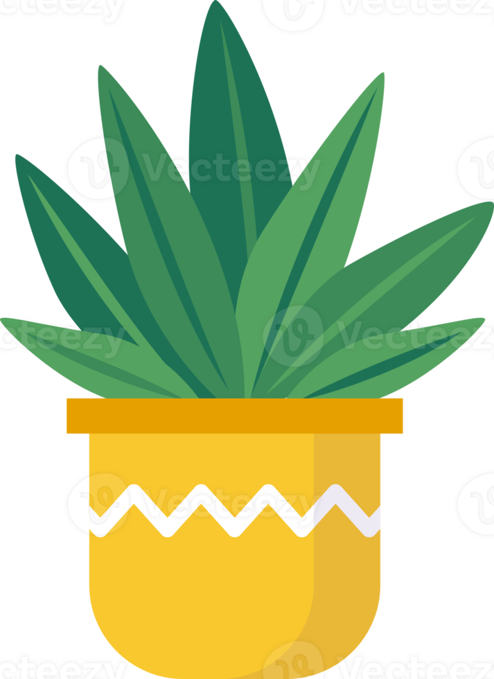 plant leaf flower png