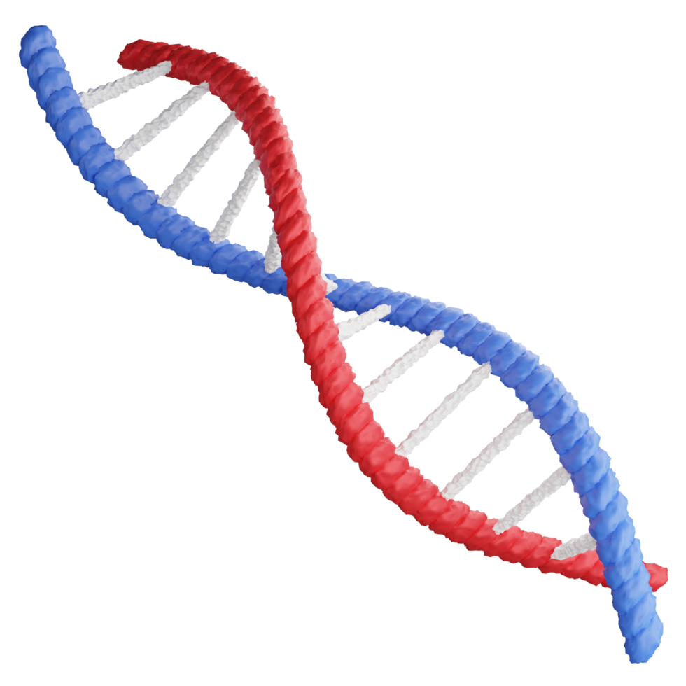 DNA spiral realistic structure clipart flat design icon isolated on transparent background, 3D render medication and health concept png