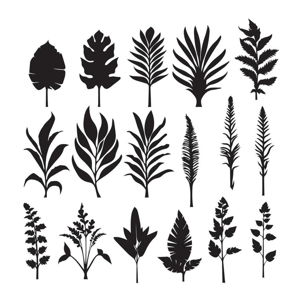 grande diferente campo palma hojas plantas modelo conjunto de negro y blanco vector ilustraciones diferente palma hojas plantas negro silueta