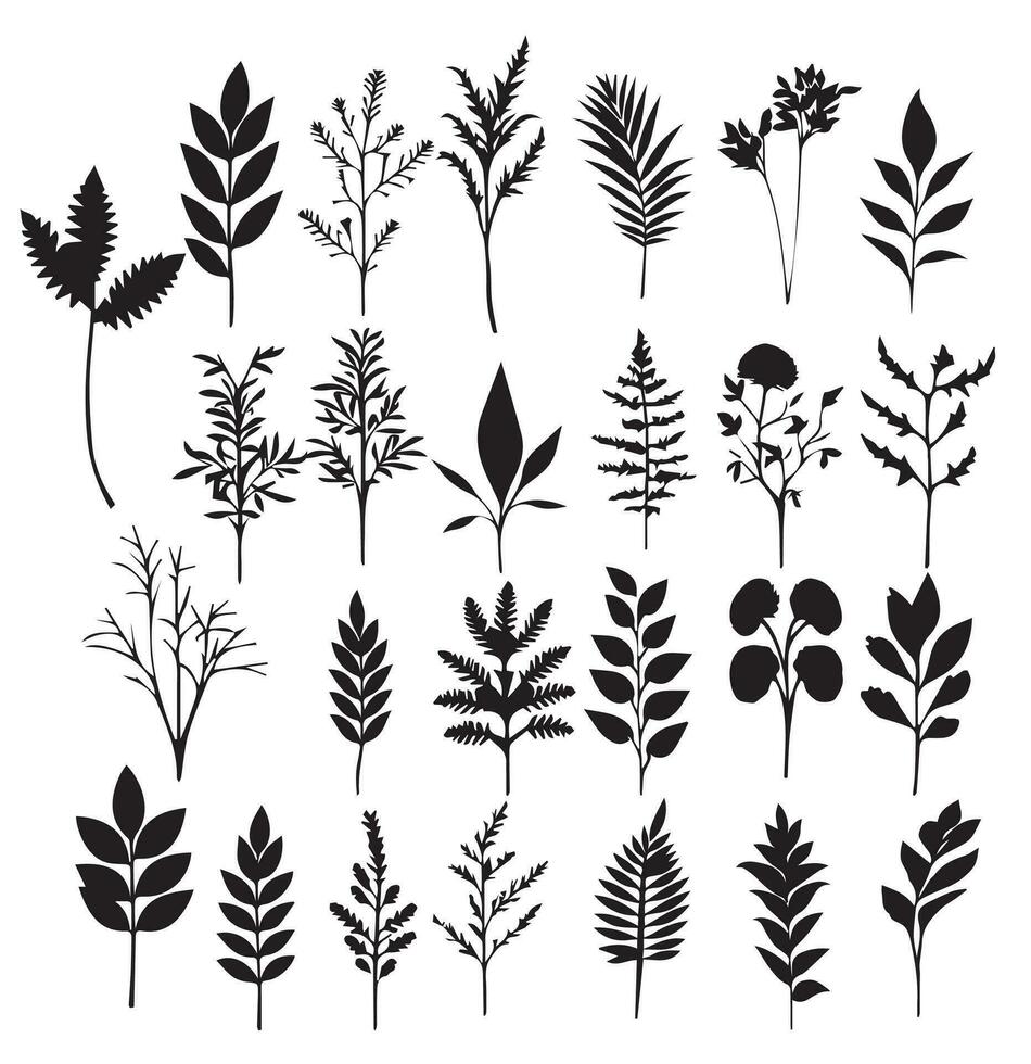 grande conjunto de siluetas de diferente plantas ramas hojas modelo conjunto de negro vector ilustraciones diferente arboles ramas hojas negro silueta