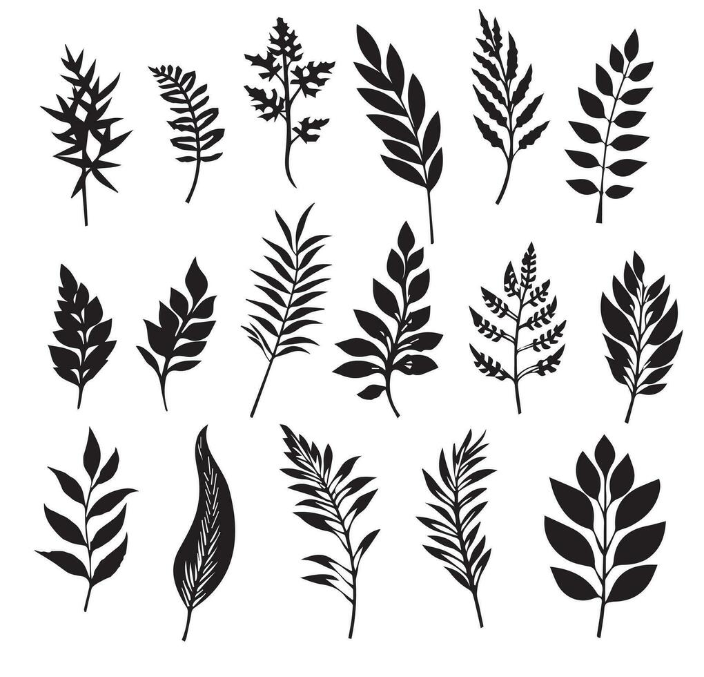 Large set of silhouettes of different plants branches leaves of plants pattern set of black and white vector illustrations different trees branches leaves black silhouette