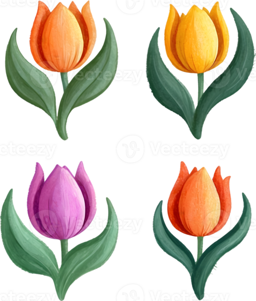 bouquet of tulips and flowers on transparent background ai generative png