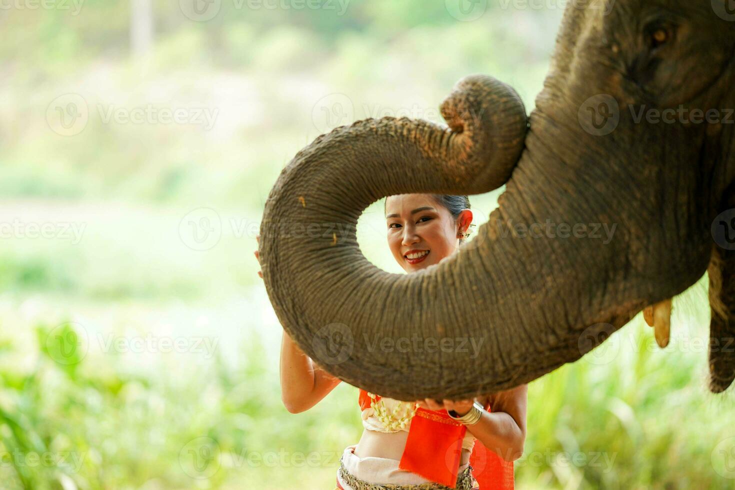 Closeup a beautiful Thai young lady with Thai northern traditional dress acting and play for phot shoot with trunk of Asian elephant on blurred background. photo