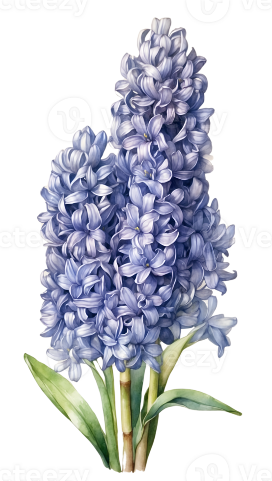 vibrant flower painting, watercolor illustration ai generative png