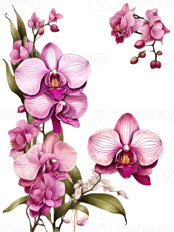 flowers and leaves in a square frame water color ai generative png