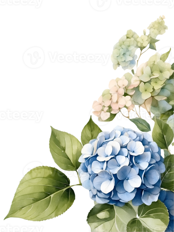vibrant flower painting, watercolor illustration ai generative png