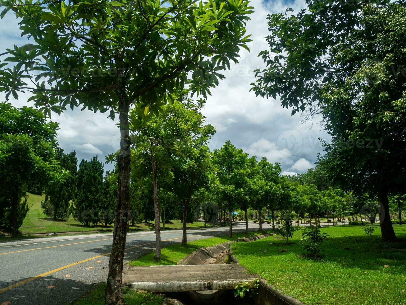 Shady central parks and trees provide shade and are ideal for exercising and relaxing during the holidays. photo