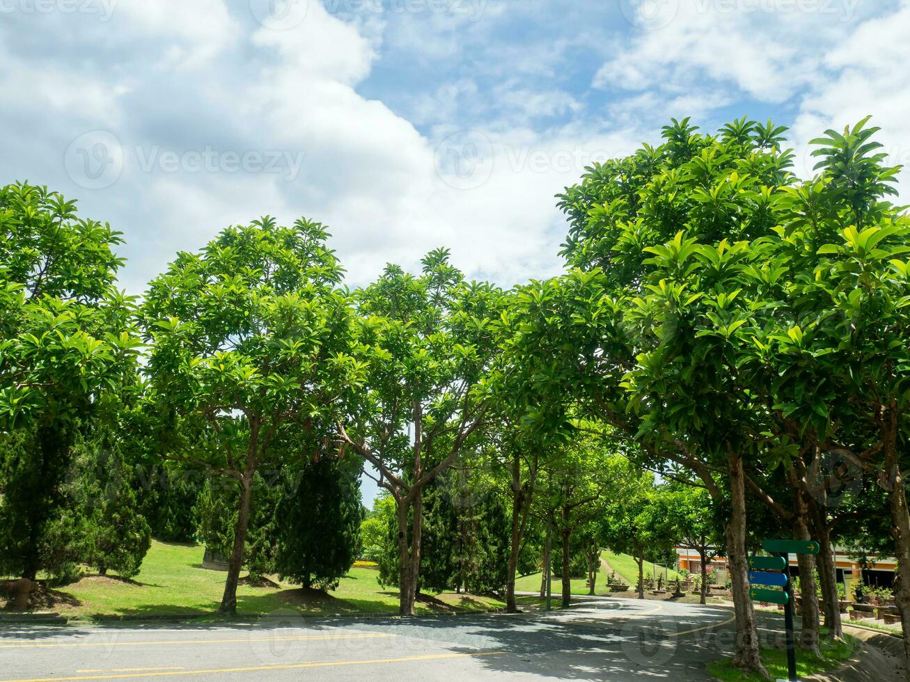 Shady central parks and trees provide shade and are ideal for exercising and relaxing during the holidays. photo