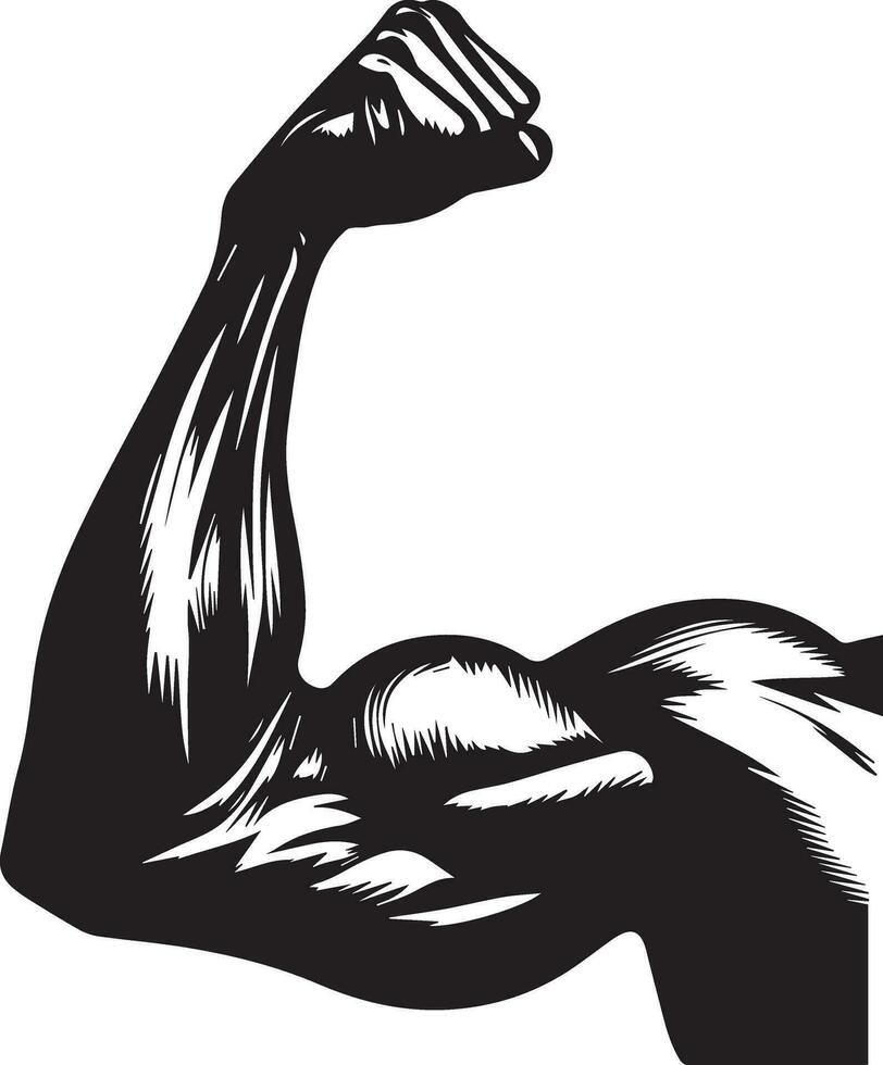 uno brazo músculo vector ilustración silueta