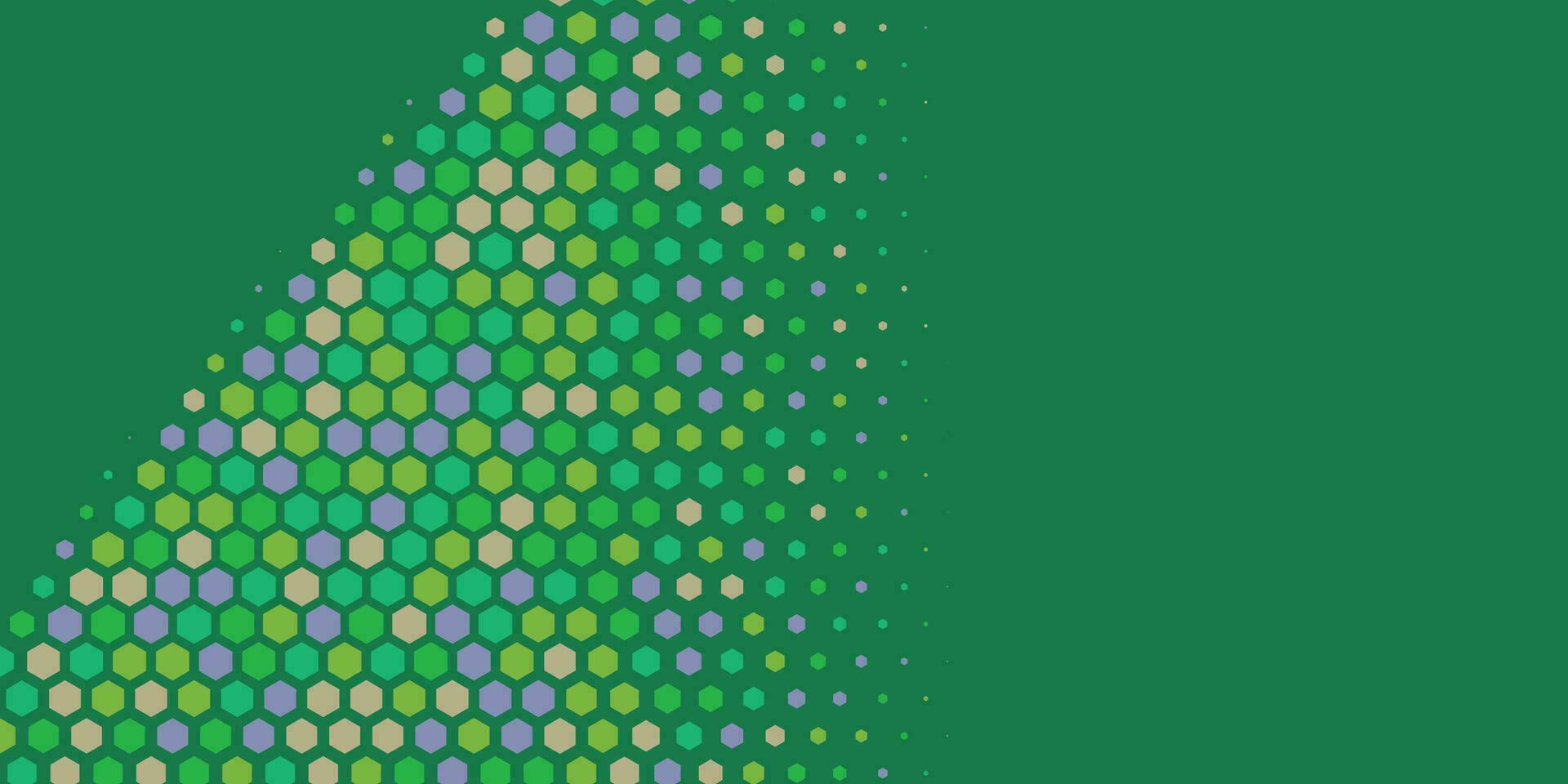 Geometric abstract Hexagon Two Color Background vector