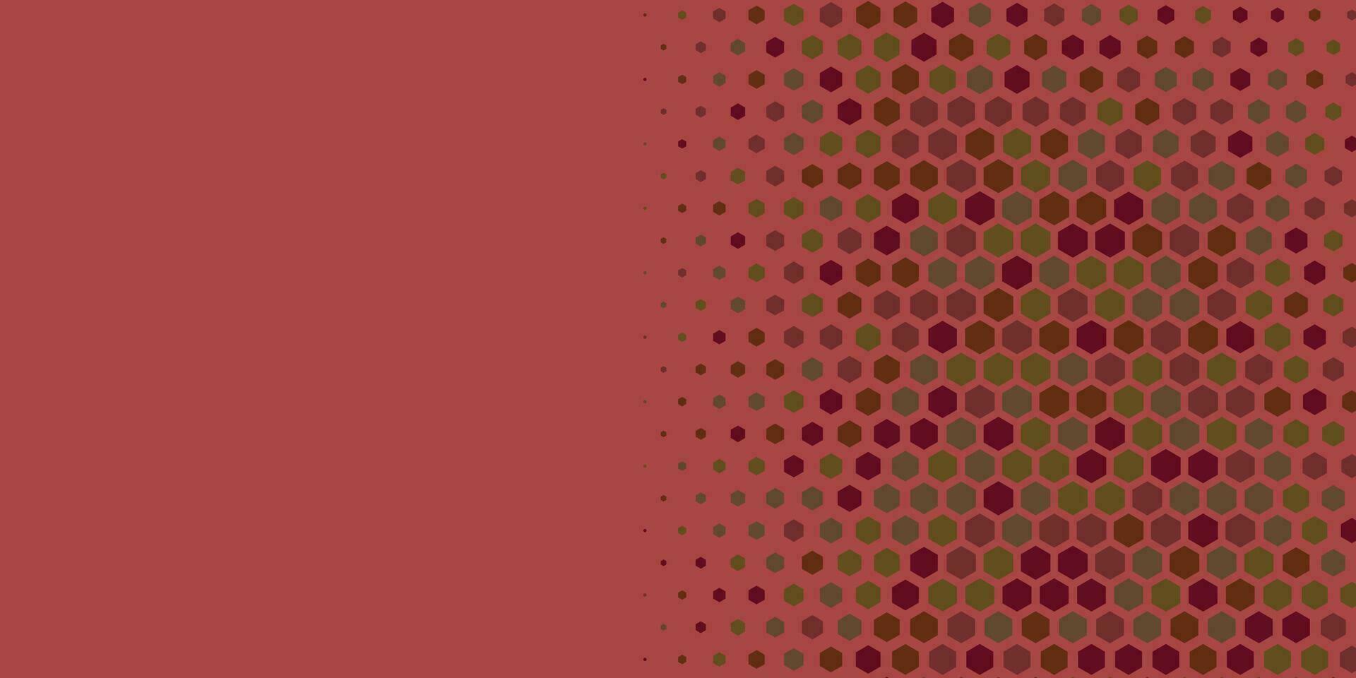 Geometric abstract Hexagon Two Color Background vector