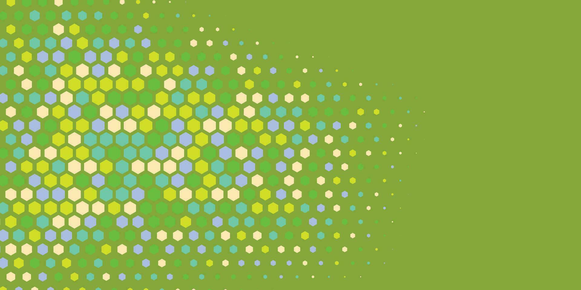 Geometric abstract Hexagon Two Color Background vector