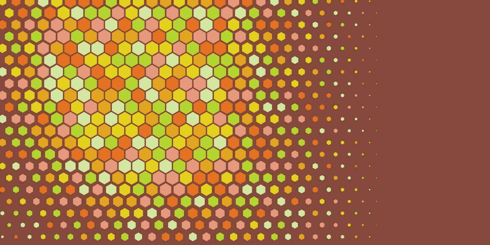 Geometric abstract Hexagon Two Color Background vector